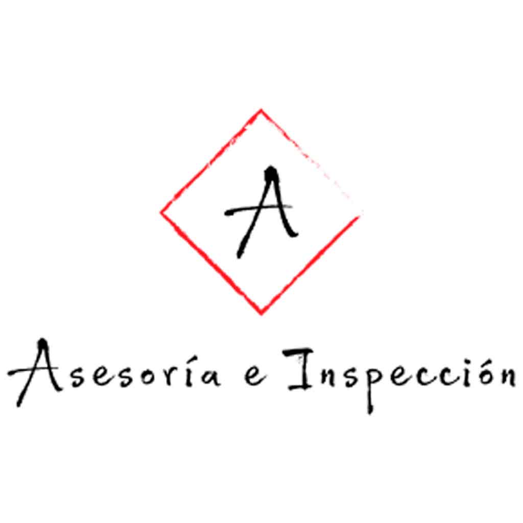 logo-asesoria-e-inspeccion-1024x1024-1